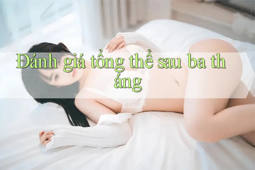 Đánh giá tổng thể sau ba tháng Đánh giá tổng thể sau ba tháng