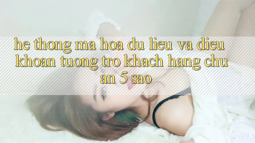 Hệ thống mã hóa dữ liệu và điều khoản tương trợ khách hàng chuẩn 5 sao Hệ thống mã hóa dữ liệu và điều khoản tương trợ khách hàng chuẩn 5 sao