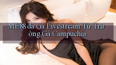 me88  đá gà livestream từ trường gà campuchia