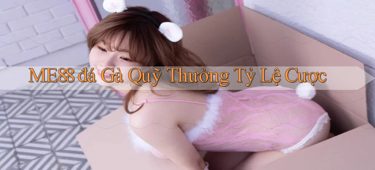 me88  đá gà quỹ thưởng tỷ lệ cược