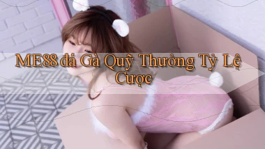 me88  đá gà quỹ thưởng tỷ lệ cược