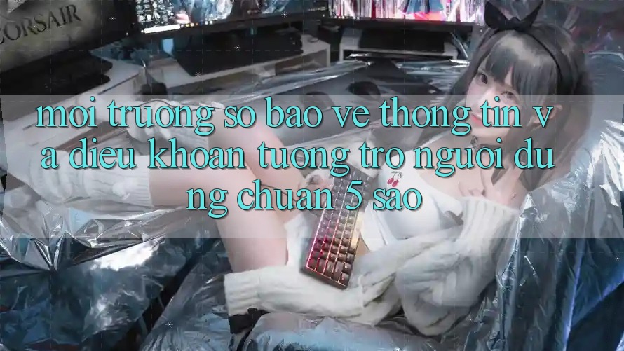 Môi trường số bảo vệ thông tin và điều khoản tương trợ người dùng chuẩn 5 sao Môi trường số bảo vệ thông tin và điều khoản tương trợ người dùng chuẩn 5 sao